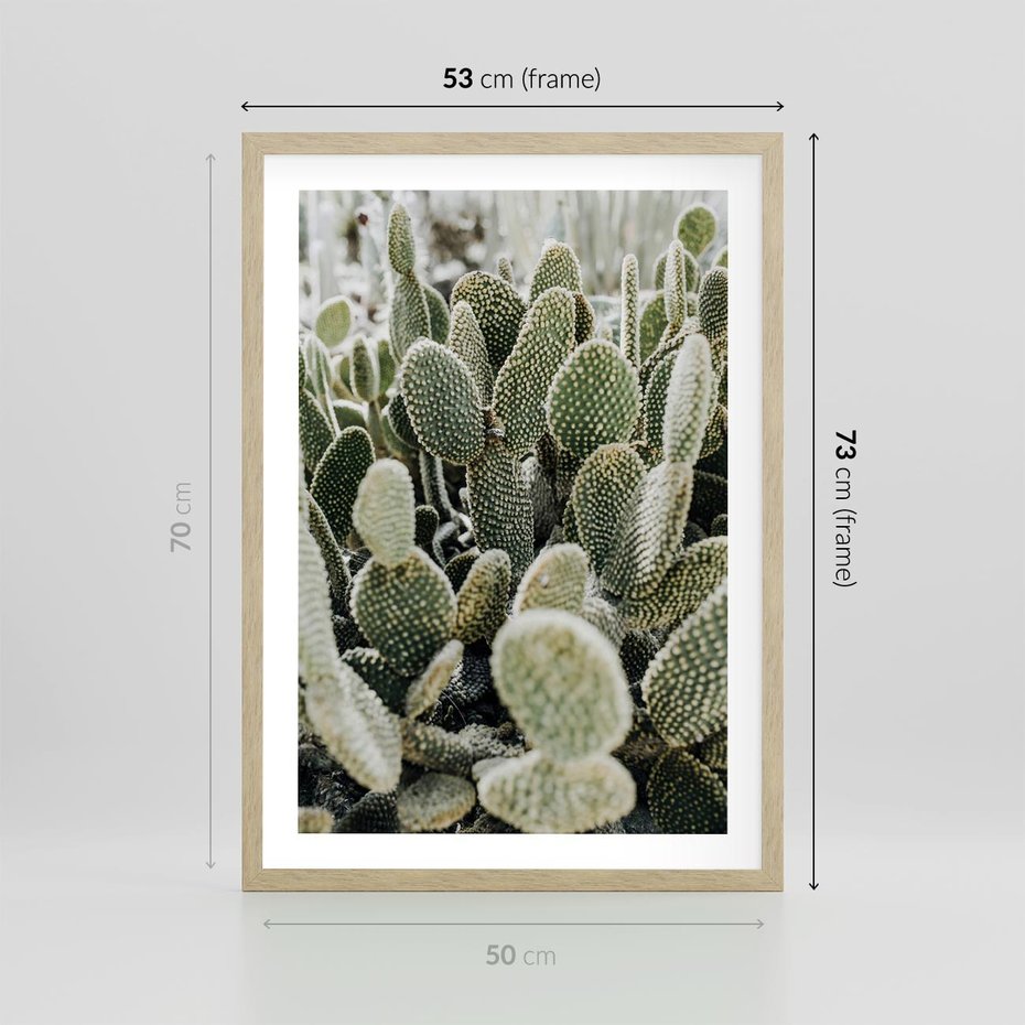Plakat w ramie 50x70 - Kaktusowa Harmonia - kaktusy, fotografia - rama drewno