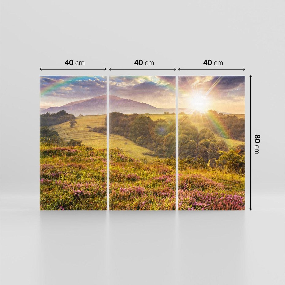 Obraz na płótnie 120x80 - Pejzaż na łące - pejzaż, łąka