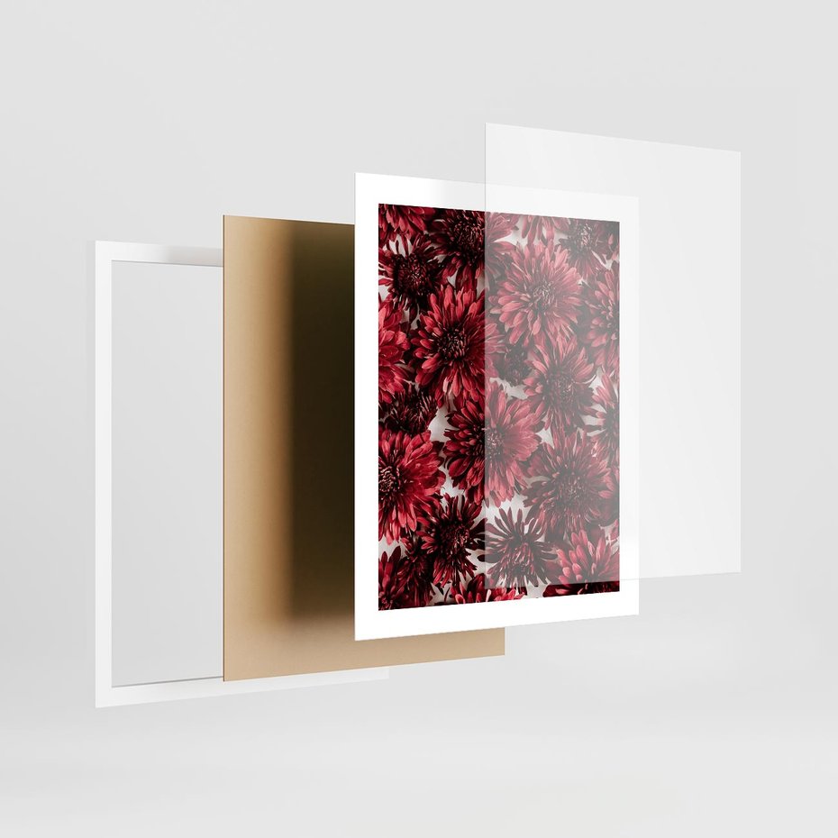Plakat w ramie 40x50 - Energia Kwiatów - czerwone kwiaty, kompozycja - rama biała