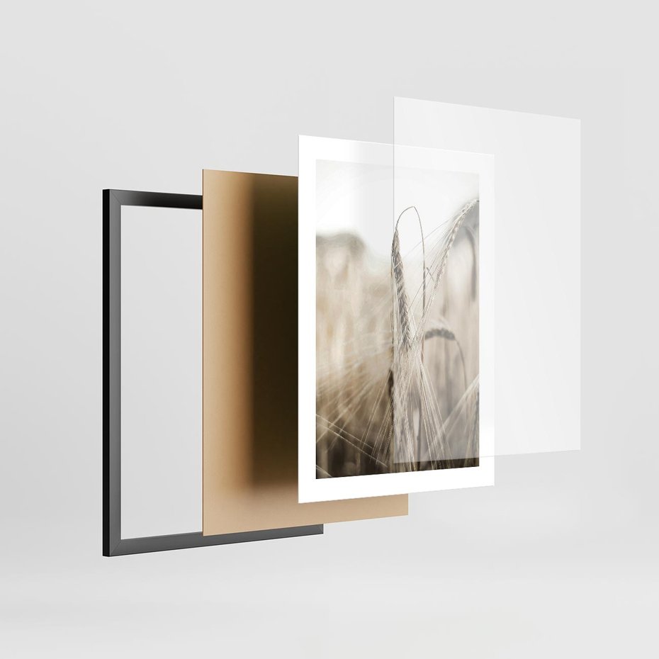 Plakat w ramie 30x40 - Kłosy Pszenicy w Sepii - zboże, kłos pszenicy - rama czarna