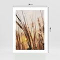 Plakat bez ramy 30x40 - Malownicza Łąka z Trawam - trawy, łąka