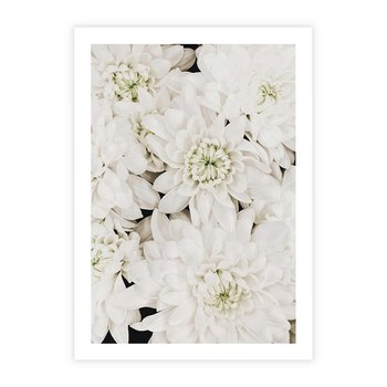 Plakat bez ramy 21x30 - Białe Kwiaty: Płatki Delikatności - białe kwiaty, zbliżenie