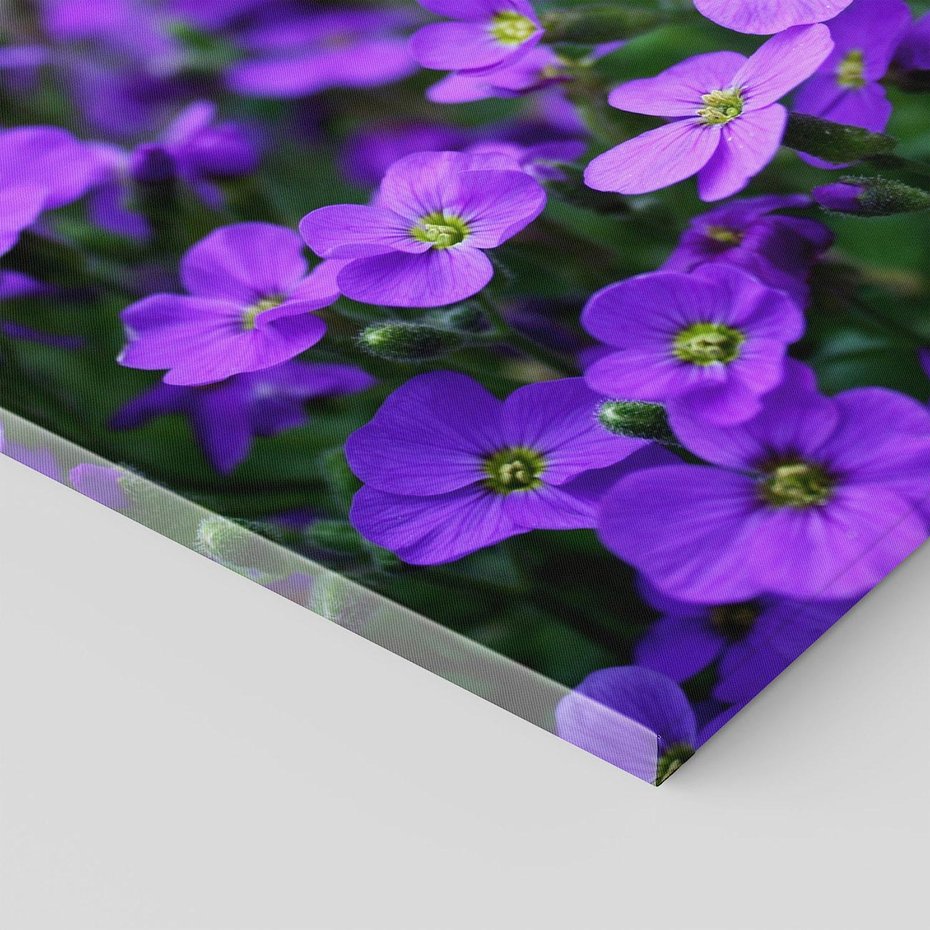 Obraz na płótnie 70x50 - Kwiatowe uniesienia magia natury - kwiat, kwiaty