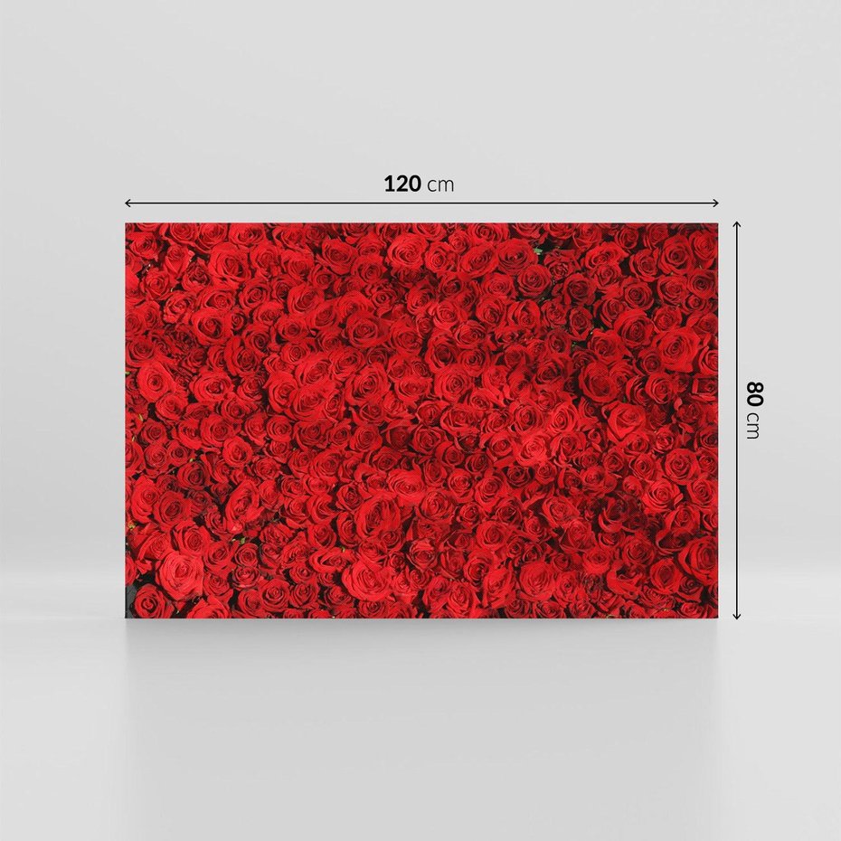 Obraz na płótnie 120x80 - Czerwona Pasja - czerwone, róże