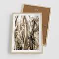 Plakat w ramie 50x70 - Retro Pole Kukurydzy - retro zdjęcie, sepia - rama drewno