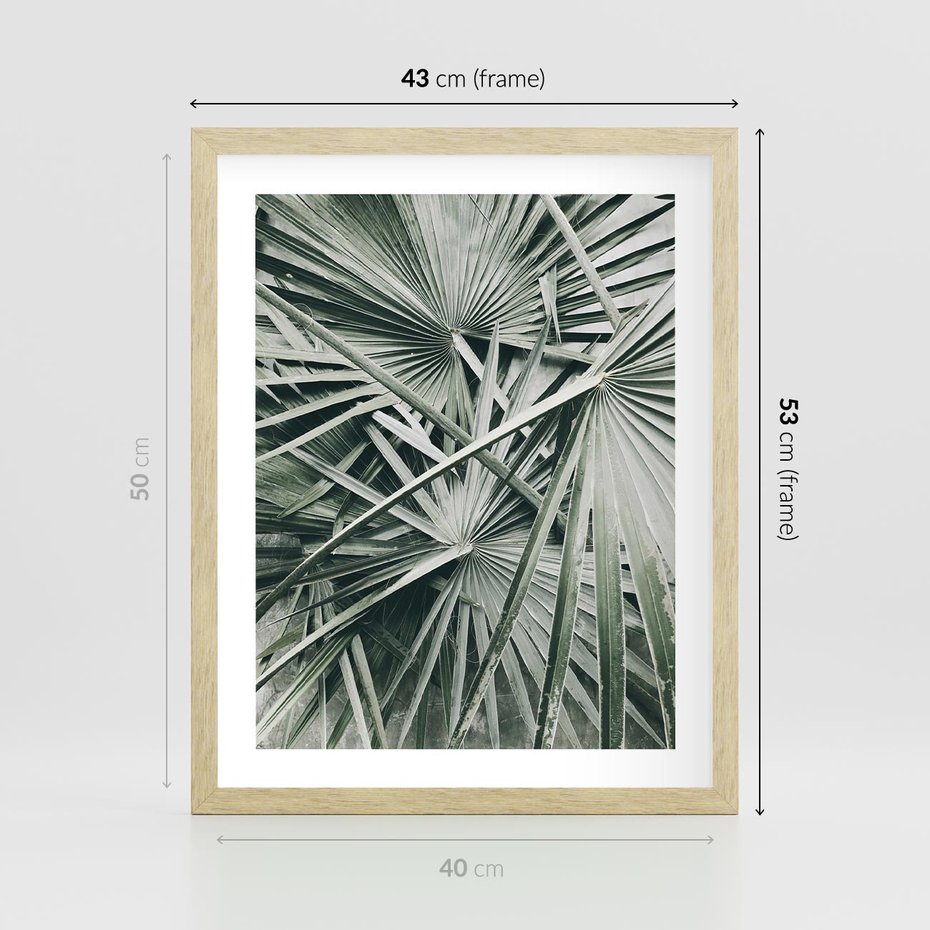 Plakat w ramie 40x50 - Palmy w Zgaszonej Zieleni - palmy, tropikalne liście - rama drewno
