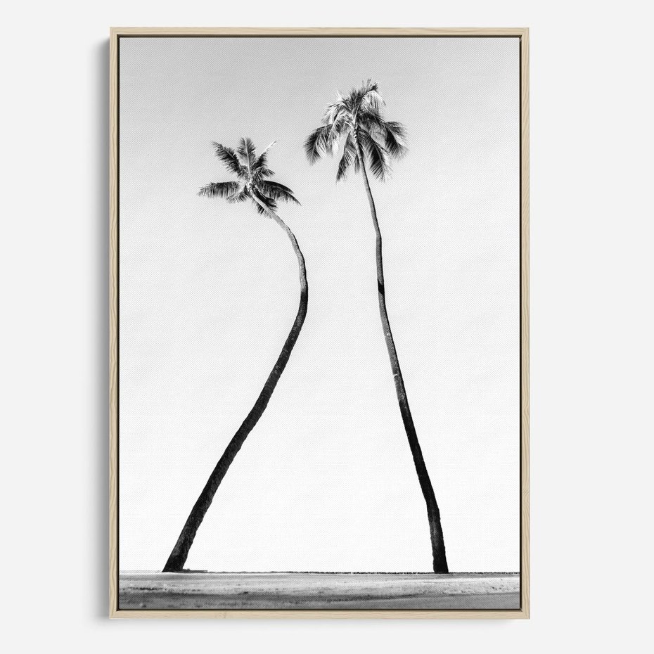 Obraz w ramie 80x120 - Samotne Palmy - czarno biała fotografia, dwie samotne palmy - rama drewno