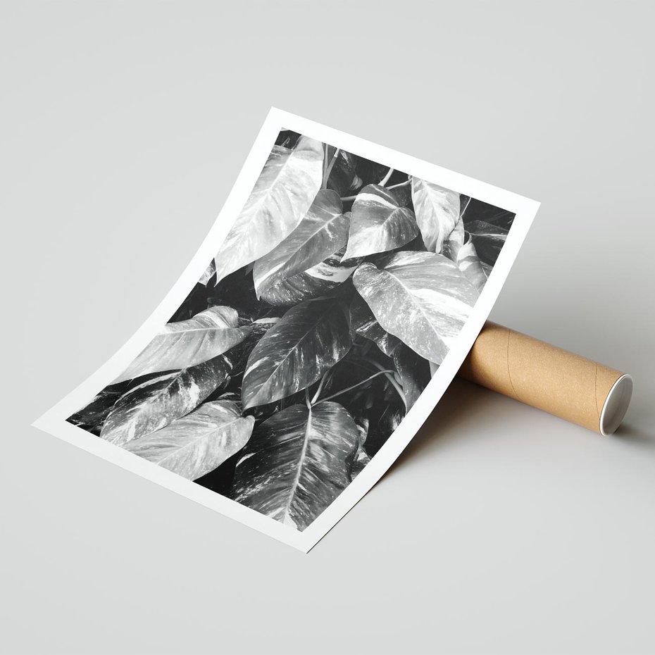 Plakat bez ramy 21x30 - Liście w Czarno-Białej Fotografii - liście, roślina