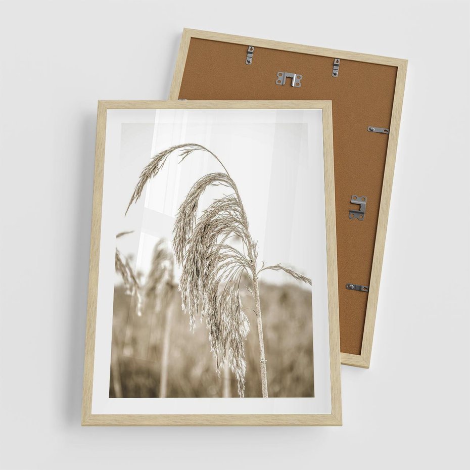 Plakat w ramie 50x70 - Ujęcie Suchych Traw - suche trawy, zbliżenie - rama drewno