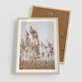 Plakat w ramie 50x70 - Boho Urok - trawy, pampas - rama drewno
