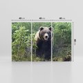 Obraz na płótnie 120x80 - Spotkanie z Niedźwiedziem w Lesie - niedźwiedź, las