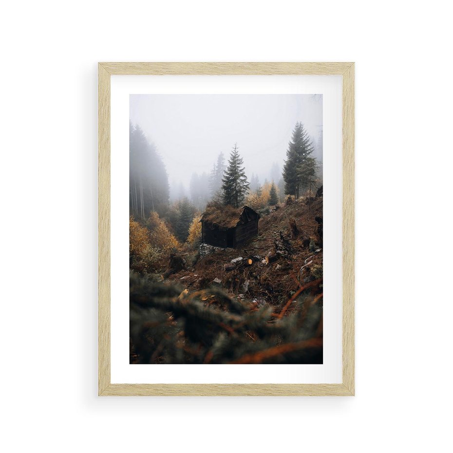 Plakat w ramie 30x40 - Górski las - stary zniszczony domek w górach, góry - rama drewno