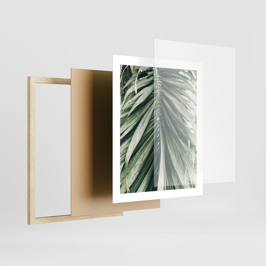 Plakat w ramie 40x50 - Spokojna Piękność Palmowych Liści - palma, liście palmy - rama drewno