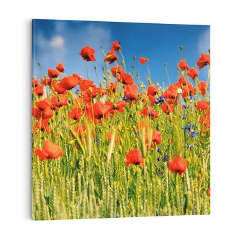 Obraz na płótnie 30x30 - Delikatne maki na kolorowej łące - mak, maki