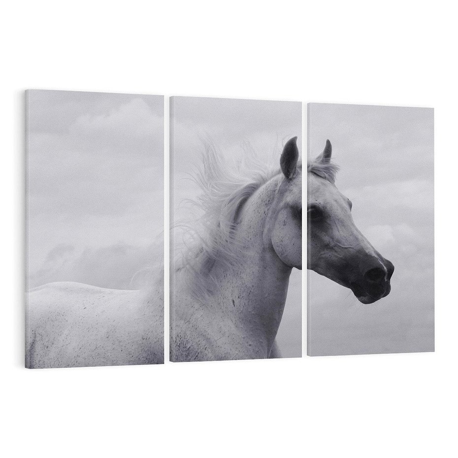 Obraz na płótnie 120x80 - Moc i Wolność - czarno biała fotografia, biały