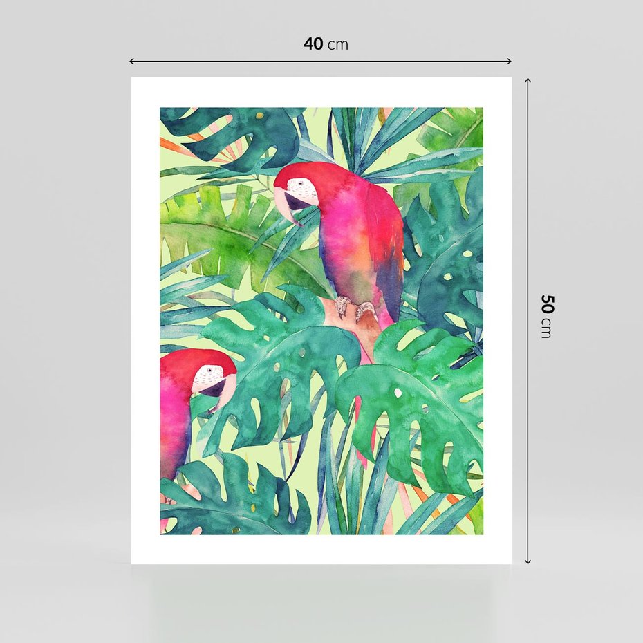 Plakat bez ramy 40x50 - Egzotyczna Przygoda - tropikalne, liście