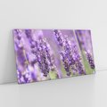 Obraz na płótnie 140x70 - Urok lawendy - lawenda, kwiaty