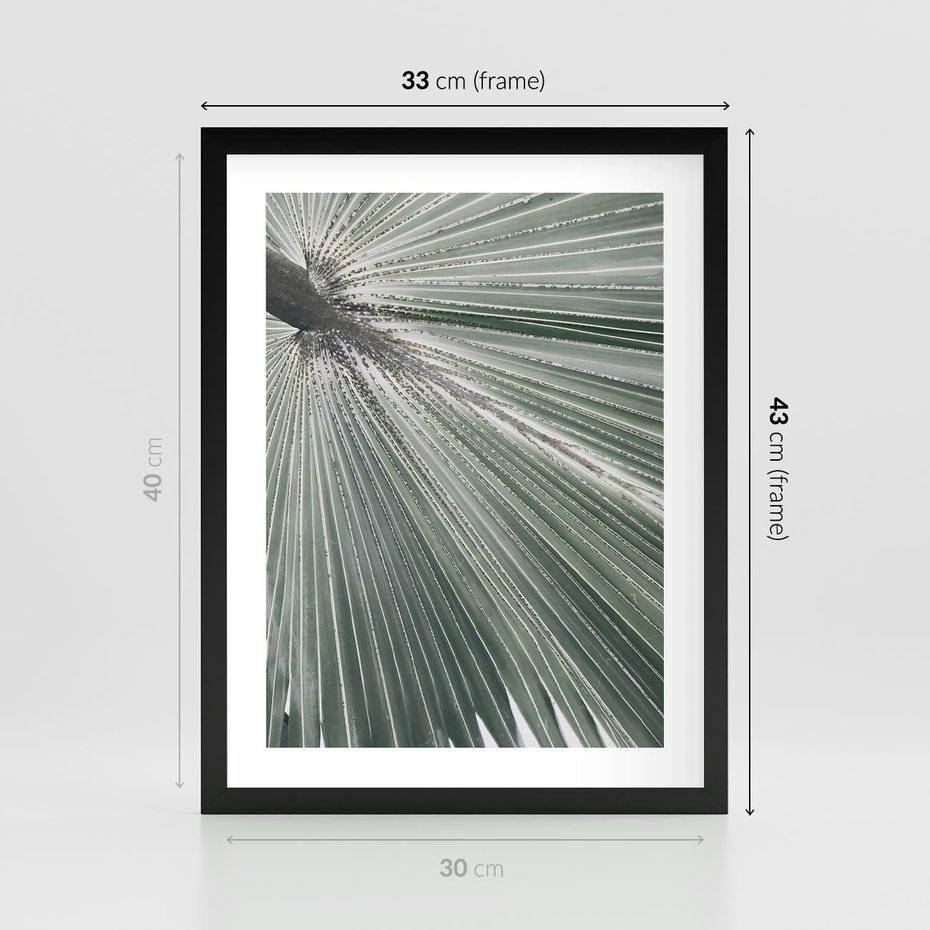 Plakat w ramie 30x40 - Jasnozielony Świat - palma, liść - rama czarna