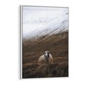Obraz w ramie 70x100 - Owiecka panorama - góry, owca - rama biała