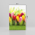 Obraz na płótnie 80x120 - delikatność kwiatowego świata - tulipany, kwiaty