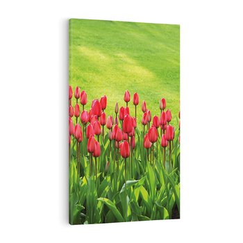 Obraz na płótnie 80x120 - Tulipanowy raj - kwiat, kwiaty