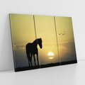 Obraz na płótnie 120x80 - Koń w Zachodnim Świetle - koń, ptaki