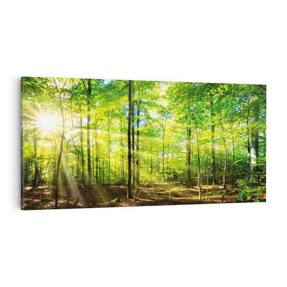 Obraz na płótnie 120x60 - Drzewa w harmonii - las, drzewa