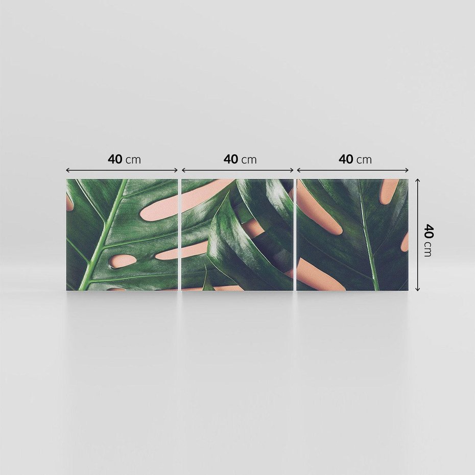 Obraz na płótnie 120x40 - Monstera Liście - monstera, liście