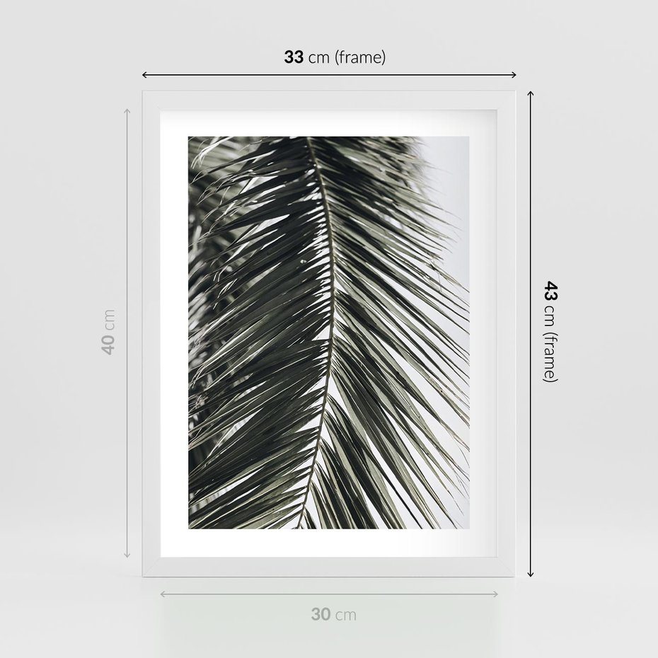Plakat w ramie 30x40 - Liść Palmy: Egzotyczny Detal Natury - palma, liść palmy - rama biała