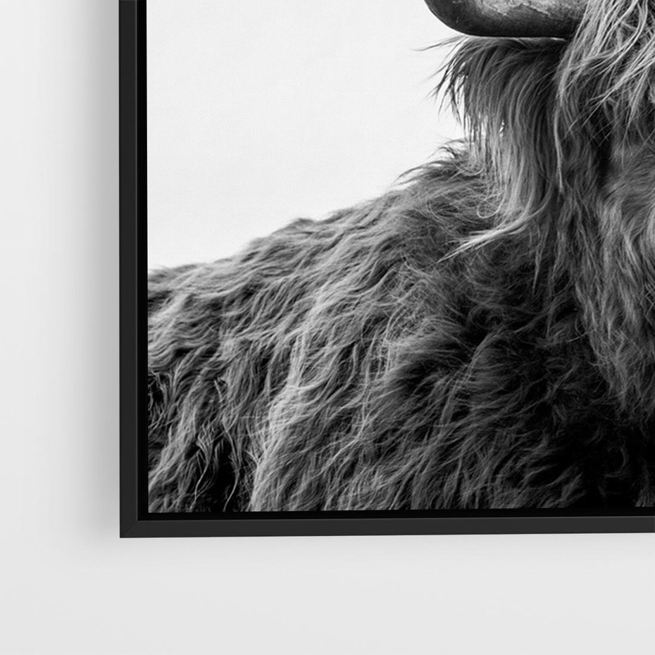 Obraz w ramie 100x70 - Moc i Spokój - amerykańskie bydło, byk - rama czarna