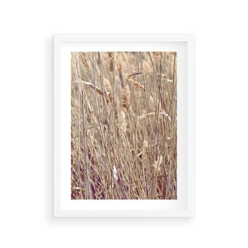 Plakat w ramie 40x50 - Suche Trawy w Wyjątkowym Stylu - suche trawy, boho styl - rama biała