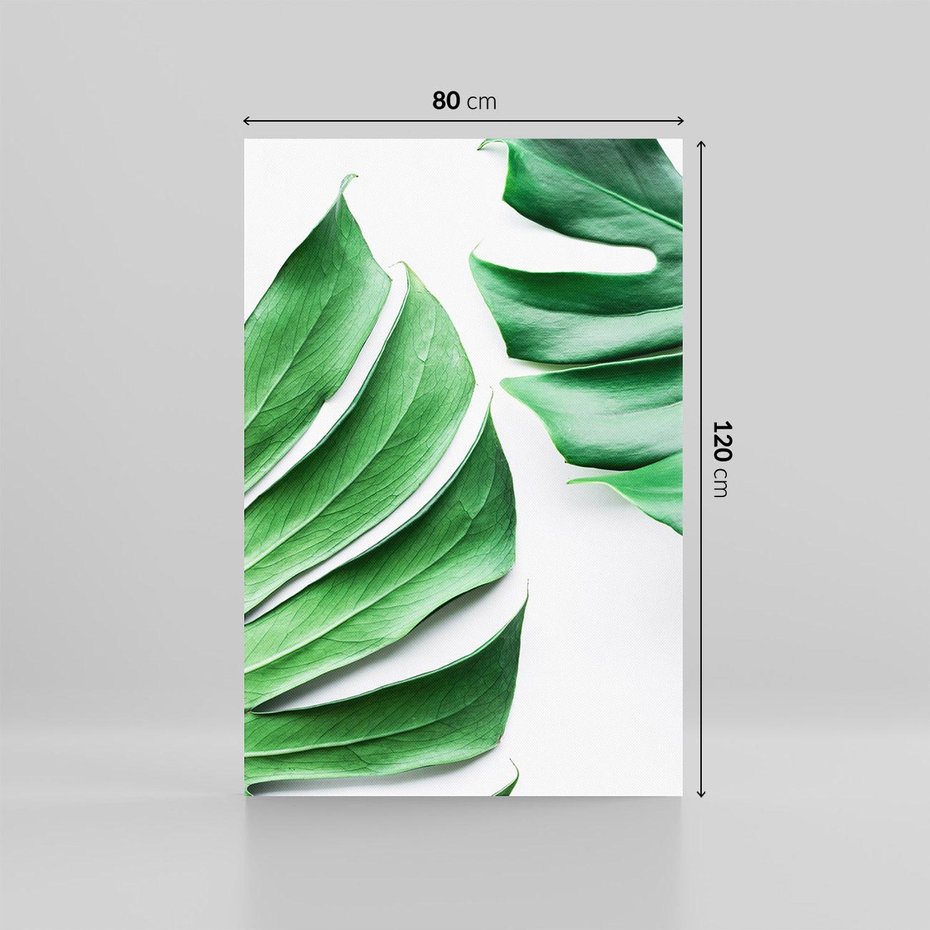 Obraz na płótnie 80x120 - Monstera - Liście Kwiaty - monstera, liście