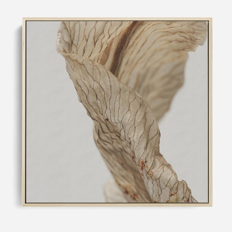 Obraz w ramie 80x80 - Suszone piękno - susz, suche - rama drewno