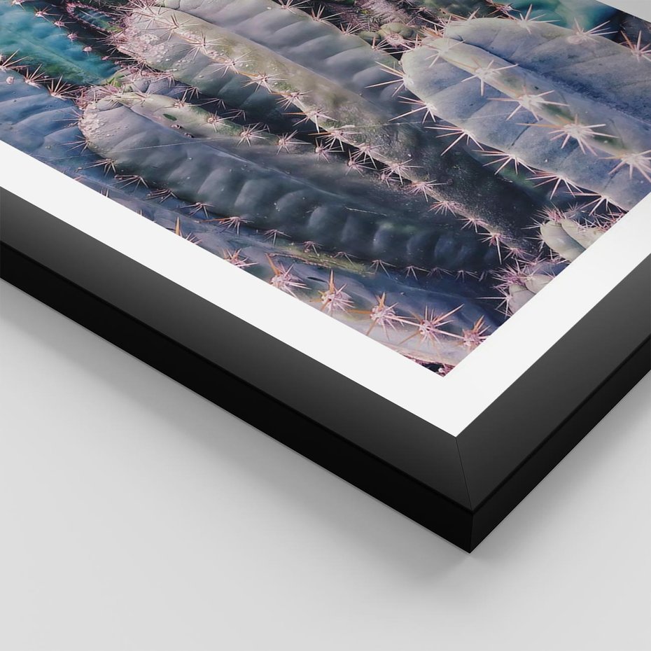 Plakat w ramie 40x50 - Kaktusowy Raj - kaktusy, dużo kaktusów - rama czarna