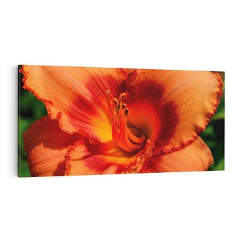 Obraz na płótnie 120x60 - Kwiatowa harmonia natury - kwiat, kwiaty