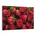 Obraz na płótnie 120x80 - Piękno róż: delikatność natury - róże, kwiaty