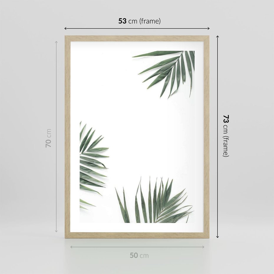 Plakat w ramie 50x70 - Liście Palmy na Czystym Tle - liście palmy, białe tło - rama drewno