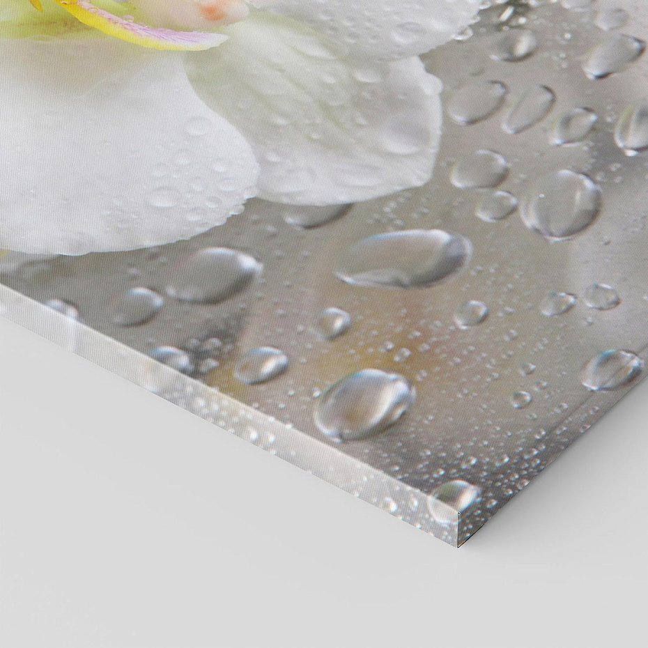 Obraz na płótnie 50x70 - Kwiatowy rój - kwiaty, kwiat