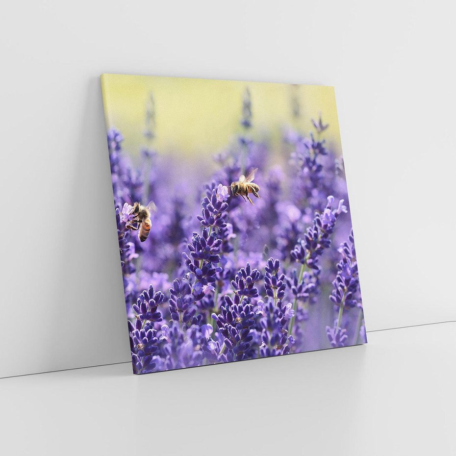 Obraz na płótnie 80x80 - Magia lawendy delikatne kwiaty - lawenda, kwiat