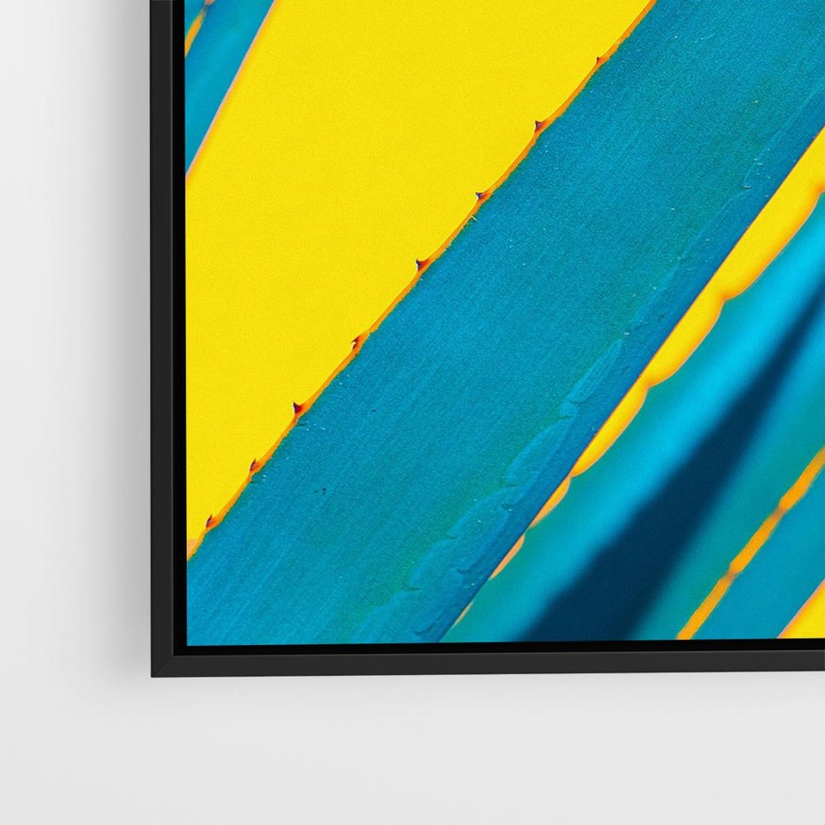 Obraz w ramie 50x50 - Świeżość Natury - aloes, liście - rama czarna