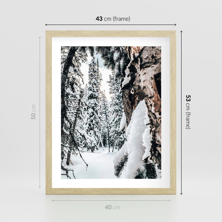 Plakat w ramie 40x50 - Drzewa pod Śniegiem - zima las, drzewa pod śniegiem - rama drewno