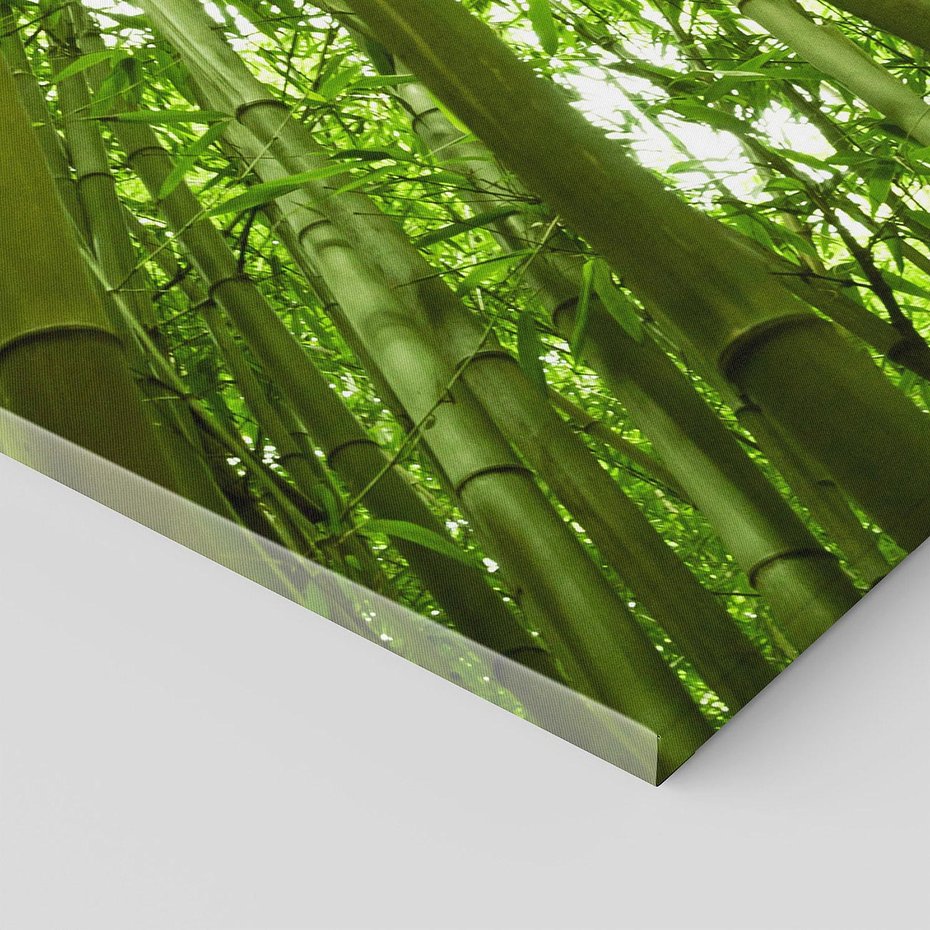 Obraz na płótnie 90x30 - Siła Natury - drzewa, las