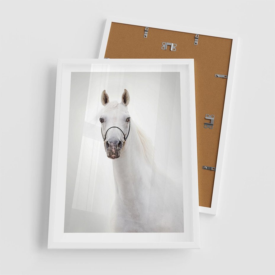 Plakat w ramie 50x70 - Elegancja białego konia - biały, koń - rama biała