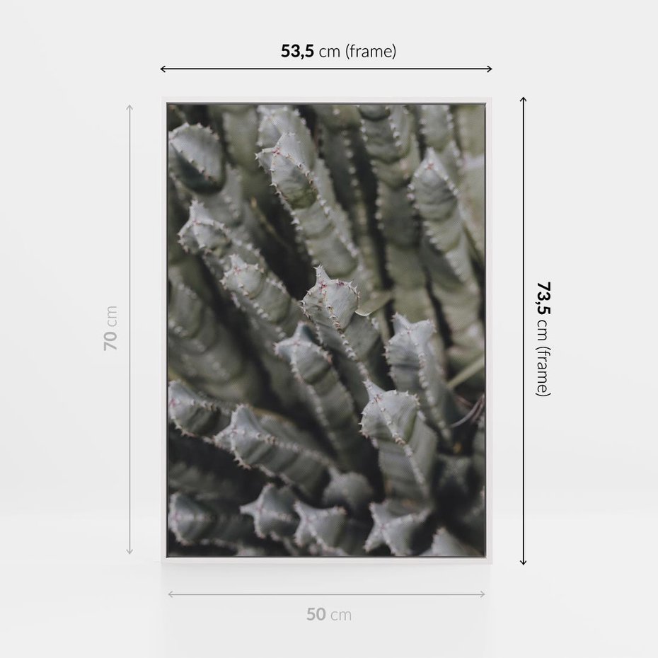 Obraz w ramie 50x70 - Boho kaktusy na pustyni - kaktusy, pustynia - rama biała