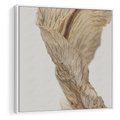 Obraz w ramie 80x80 - Suszone piękno - susz, suche - rama biała