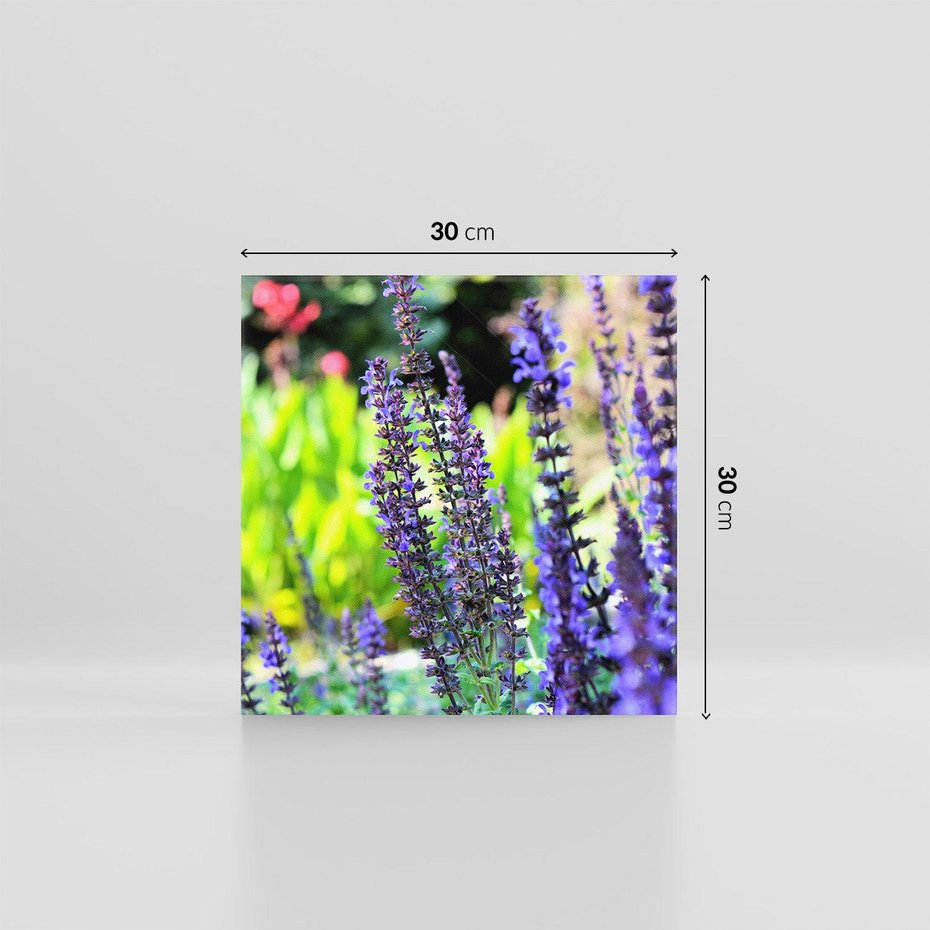 Obraz na płótnie 30x30 - Ogród Lawendowy - lawenda, kwiat