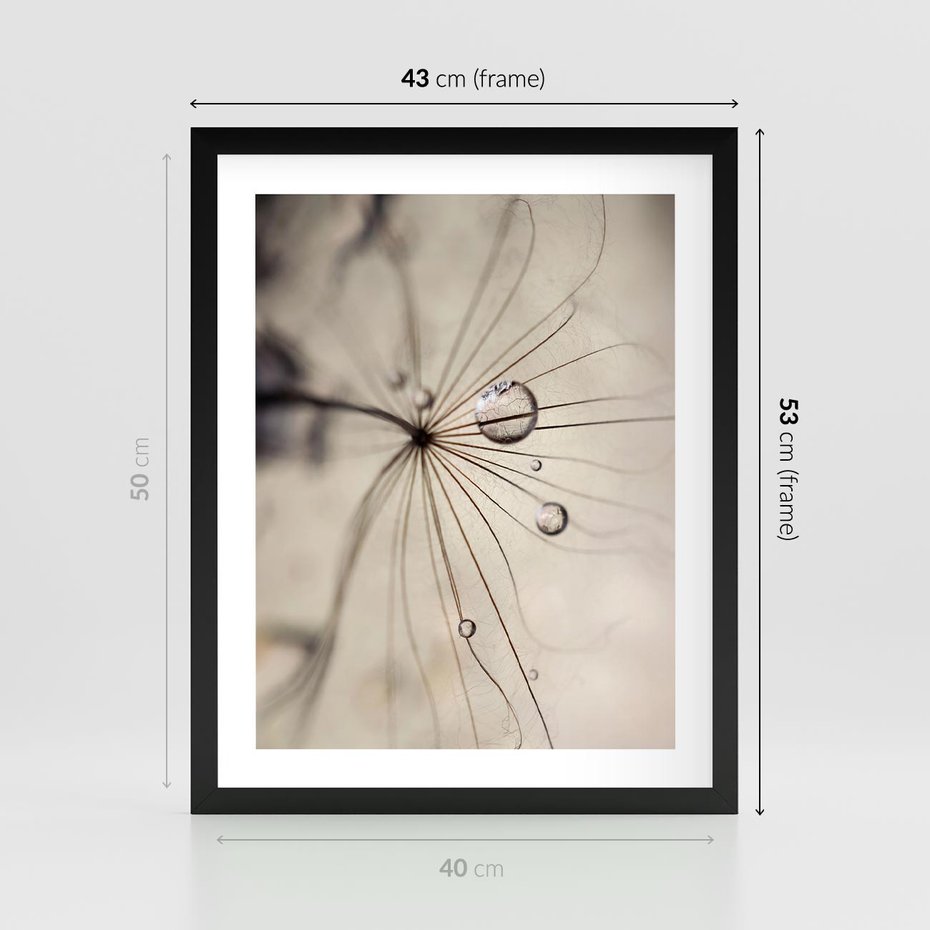 Plakat w ramie 40x50 - Makro Uroda: Kropla na Dmuchawcu - zbliżenie makro, kropla wody na ziarenku dmuchawca - rama czarna