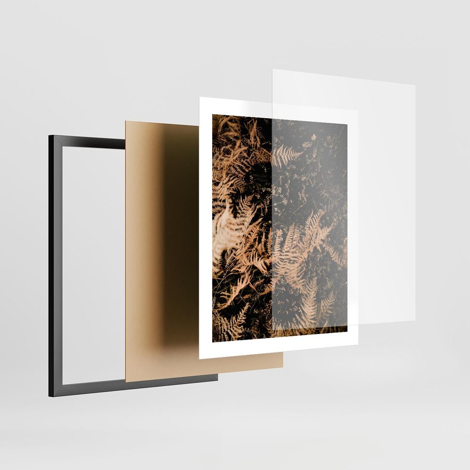 Plakat w ramie 40x50 - Jesienne Paprocie: Kolorowa Paleta Natury - paprocie, jesień - rama czarna