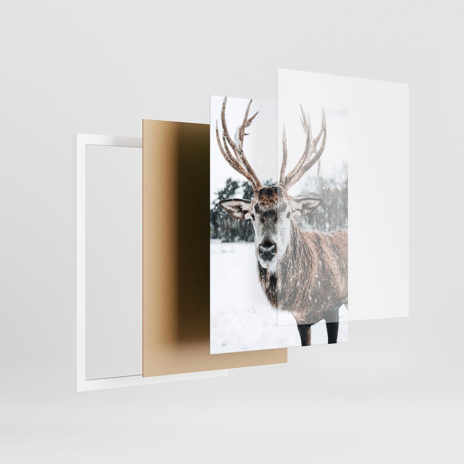 Zestaw obrazy w ramie 40x50 galeria - Jeleń, bizon, zima, retro - rama biała