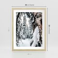 Plakat w ramie 40x50 - Drzewa pod Śniegiem - zima las, drzewa pod śniegiem - rama drewno